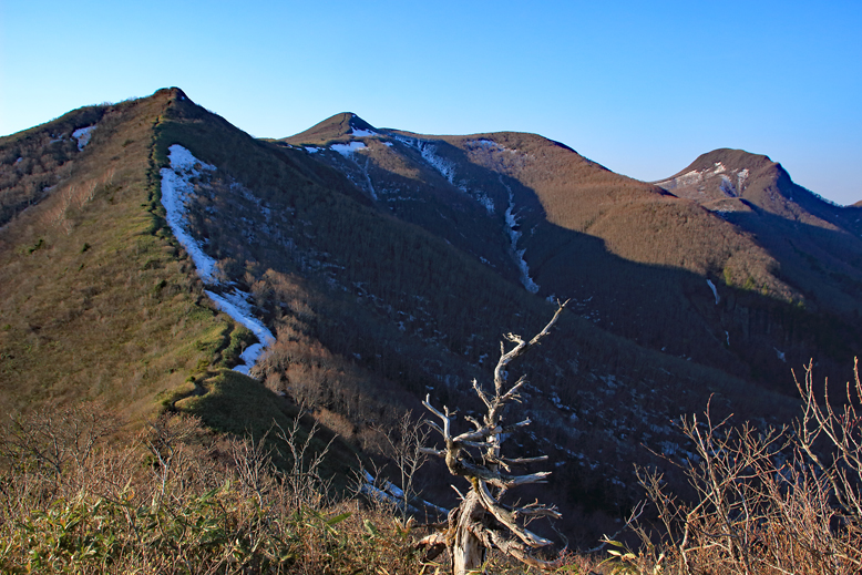 ハマグリ山