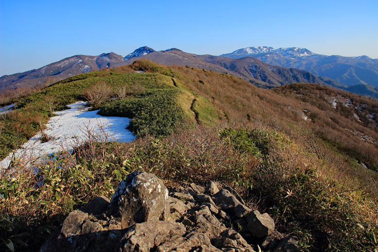 ハマグリ山