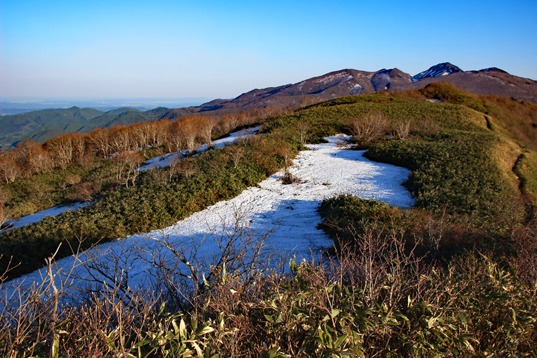 ハマグリ山
