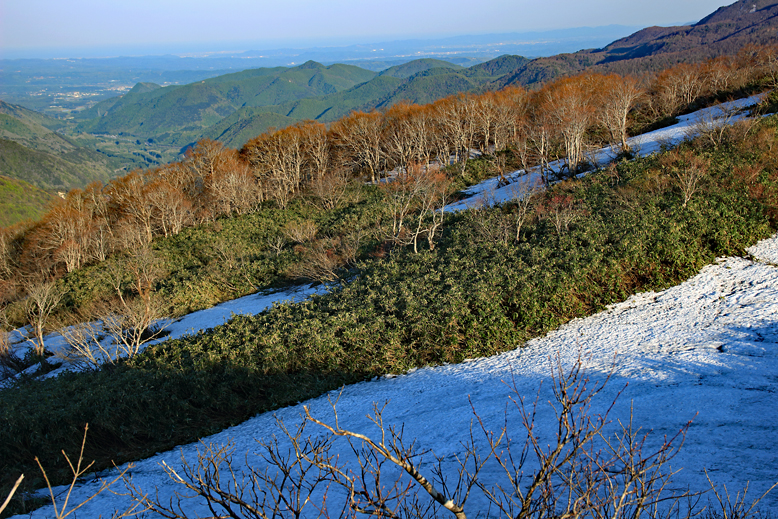 ハマグリ山