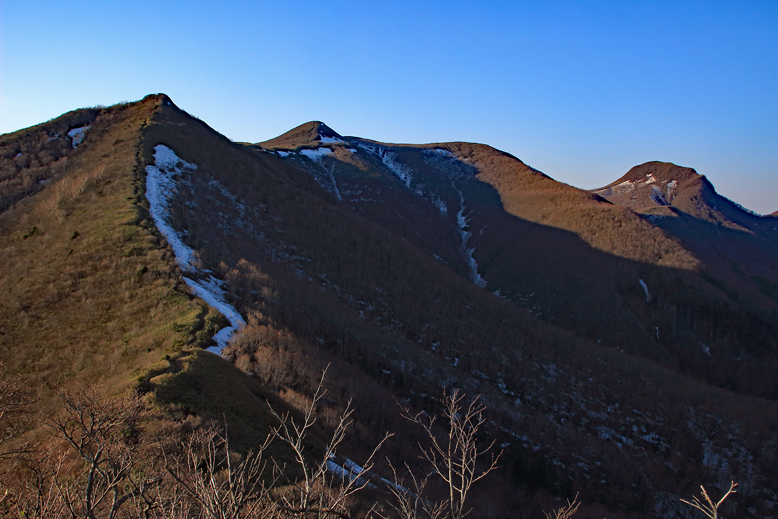 ハマグリ山