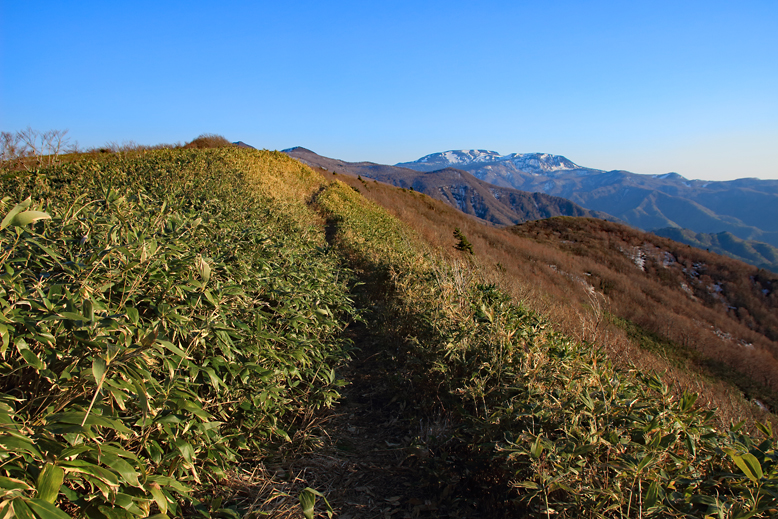 ハマグリ山