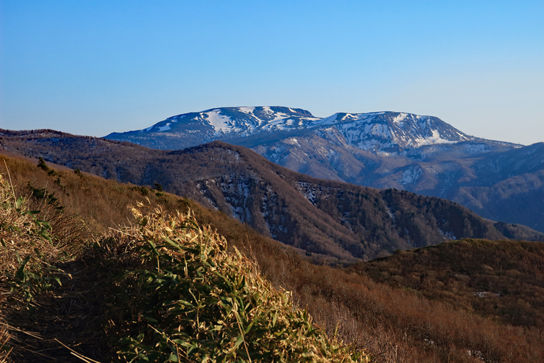 ハマグリ山
