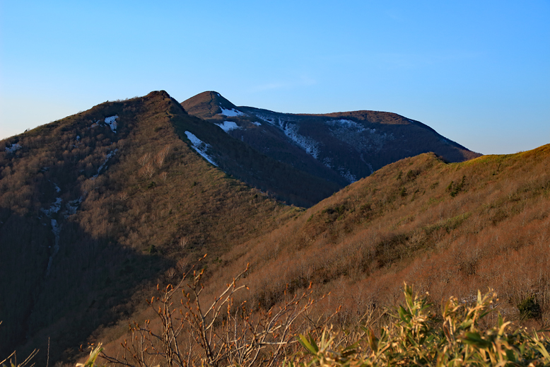 ハマグリ山