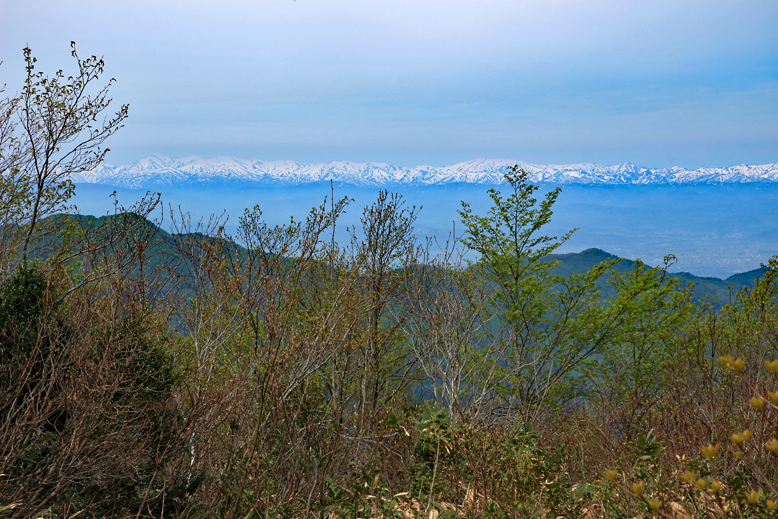 面白山