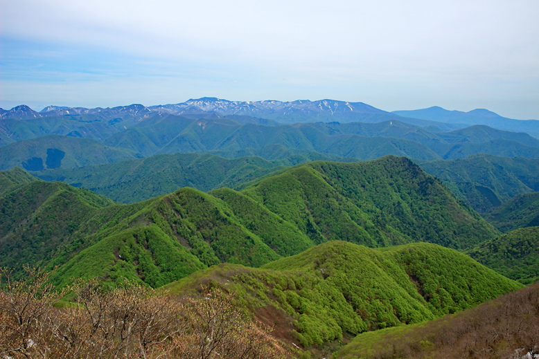 面白山