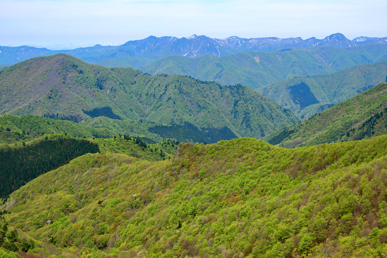 面白山