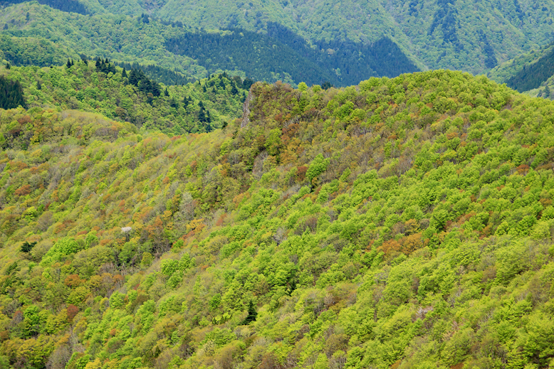 面白山