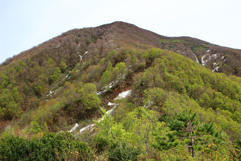 面白山