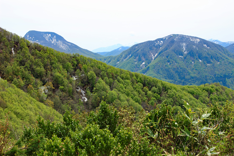 面白山