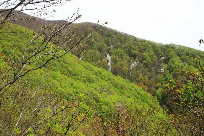 面白山