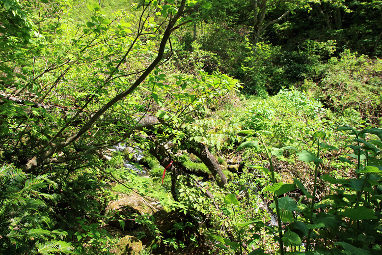 清水峠