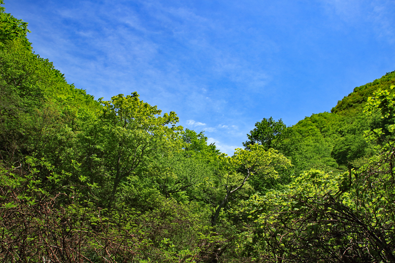 清水峠