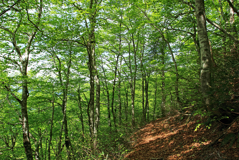 清水峠