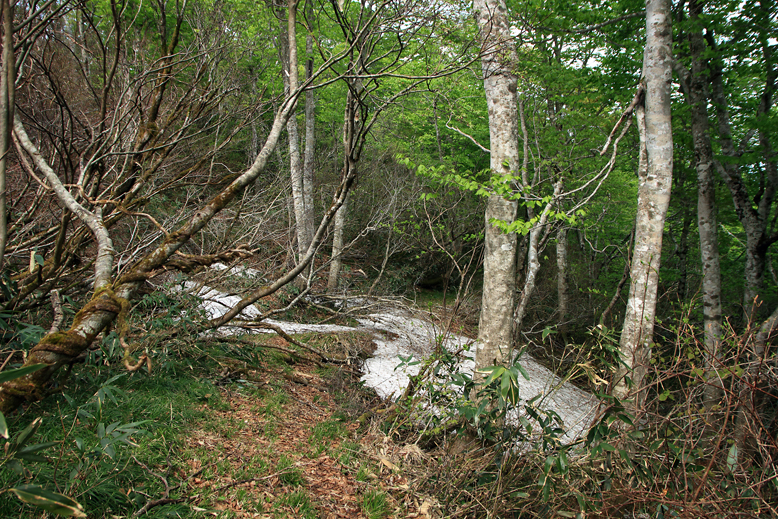 清水峠