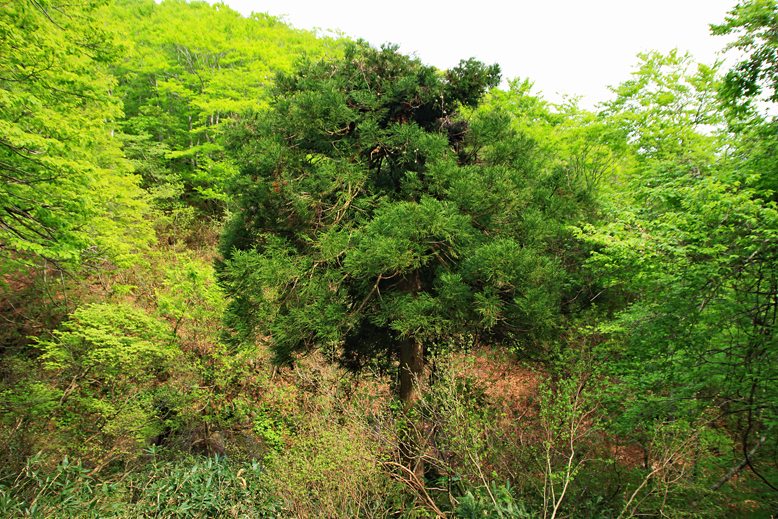 清水峠
