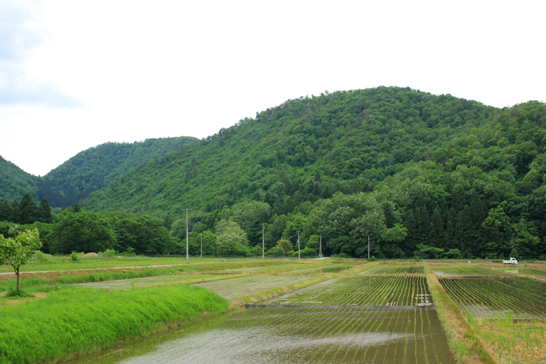 猪鼻山