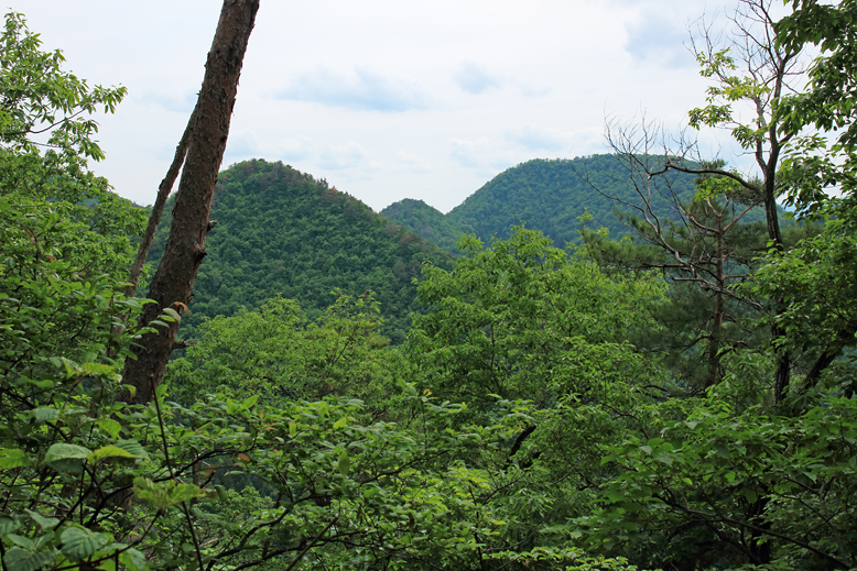 猪鼻山