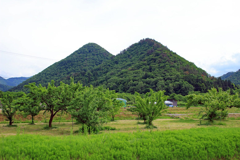 猪鼻山