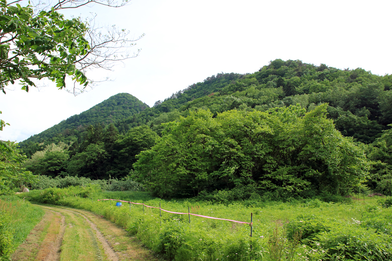 猪鼻山