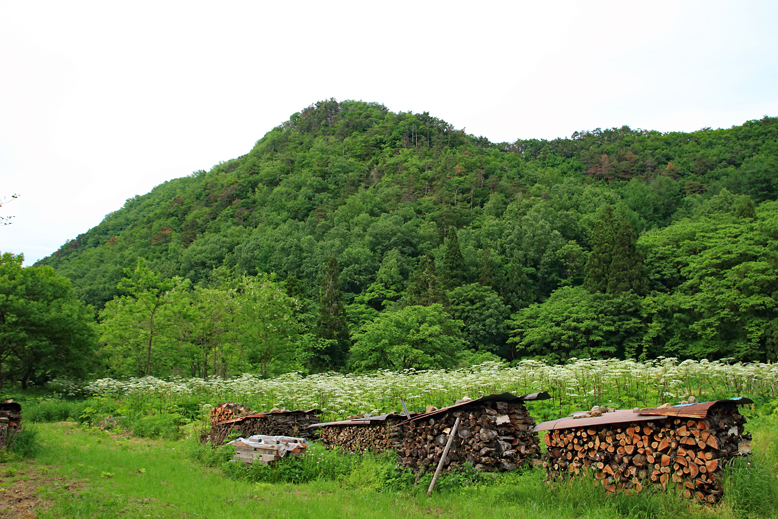 猪鼻山