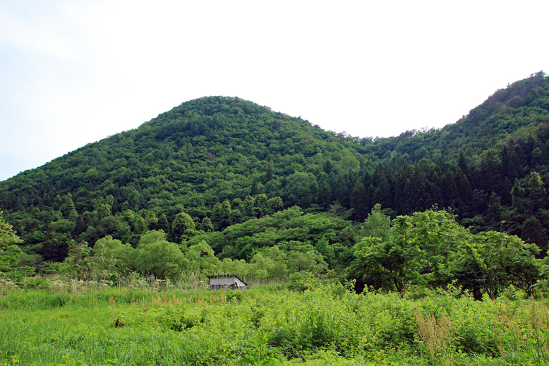 猪鼻山