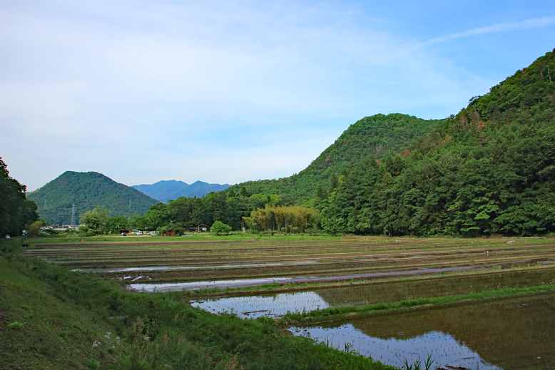 猪鼻山