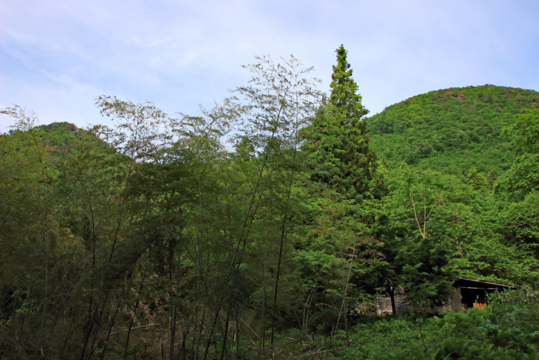 猪鼻山
