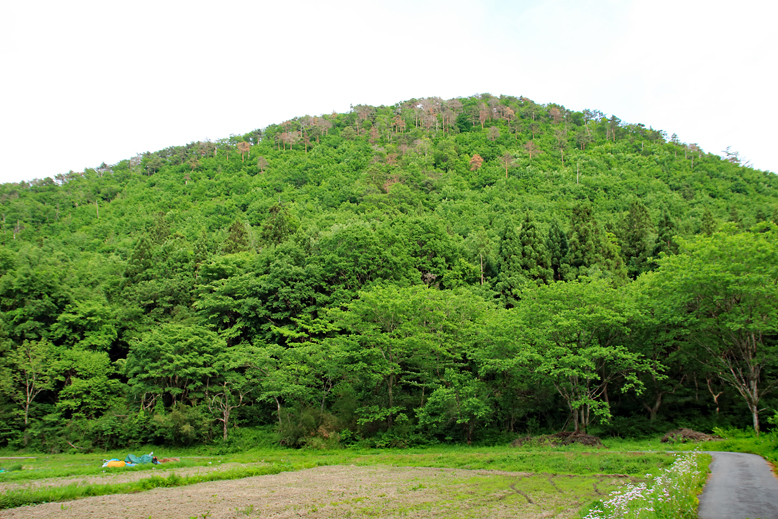 猪鼻山
