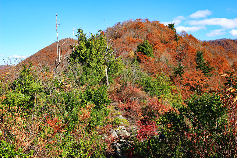 高畠駒ヶ岳