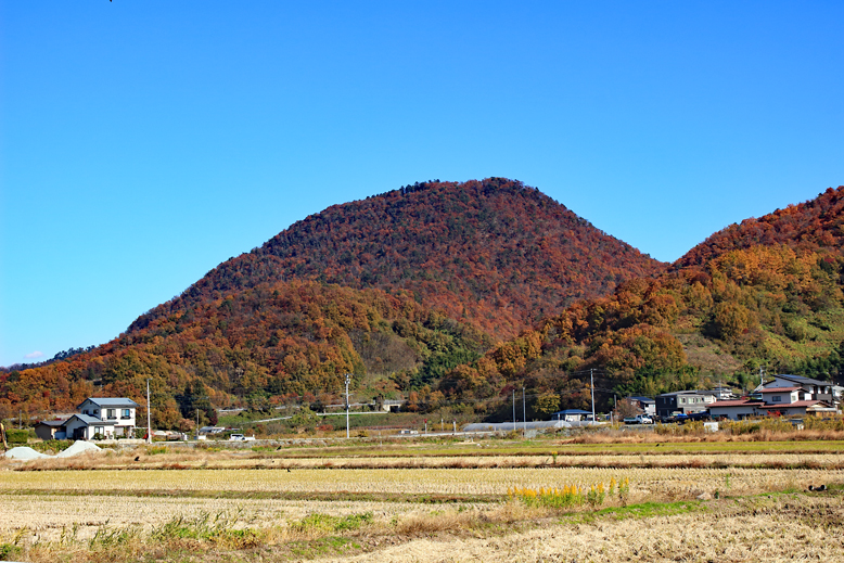 大岡山