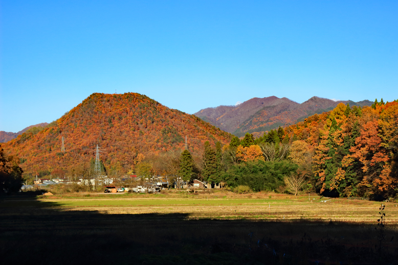 大岡山