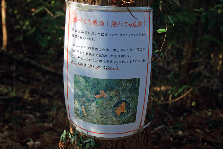 深山