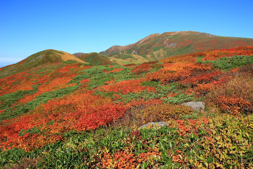紅葉の月山 姥ヶ岳