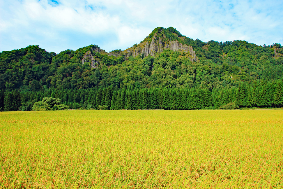 秋色の竜馬山