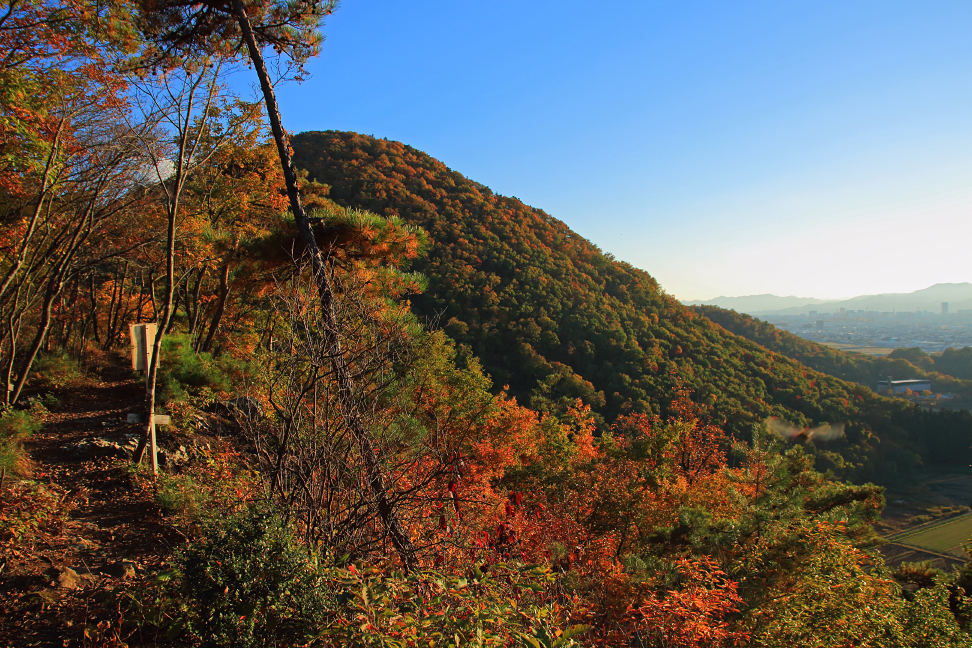 晩秋の大岡山