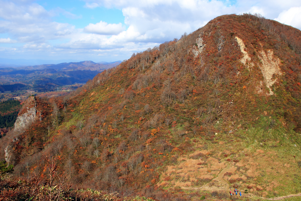 北峰「男山」と息子森