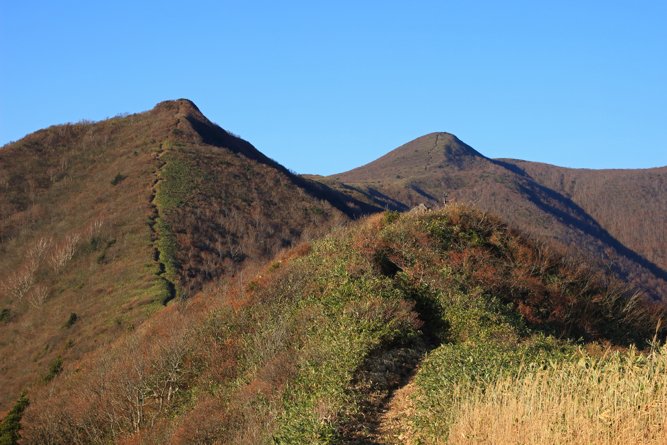 ハマグリ山