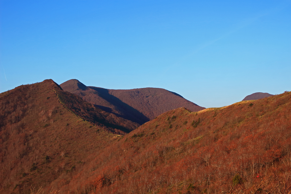 ハマグリ山