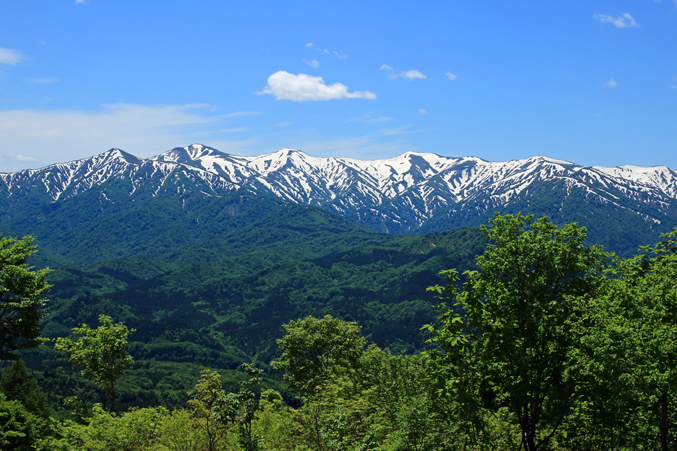 大頭森山