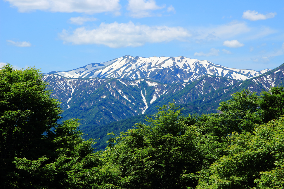 大頭森山