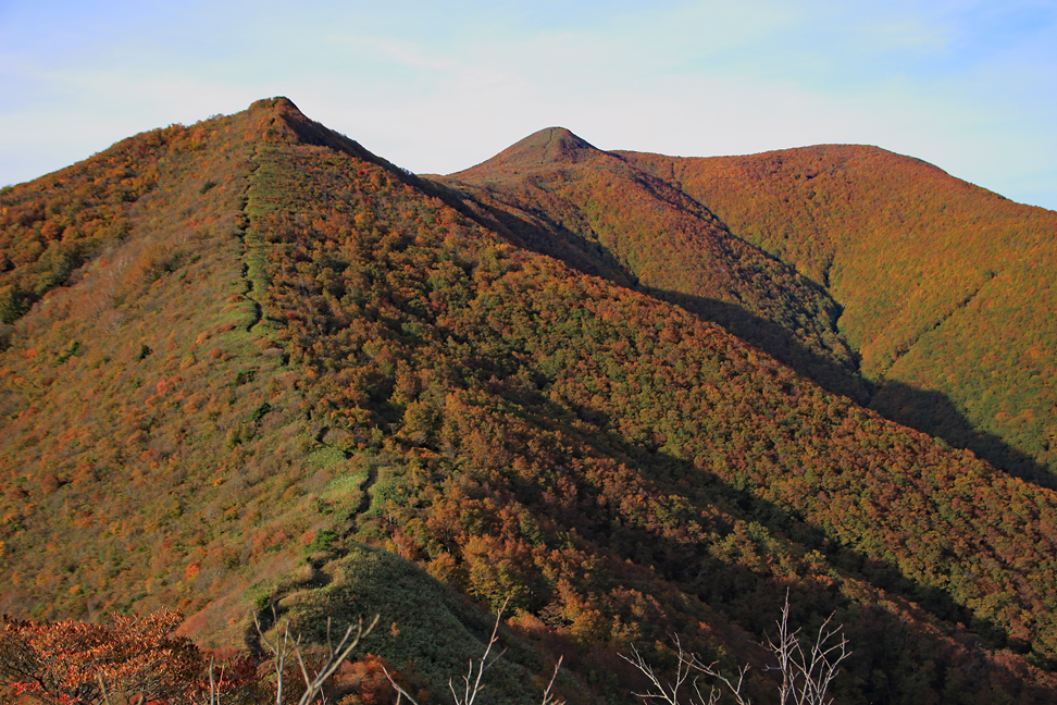 ハマグリ山