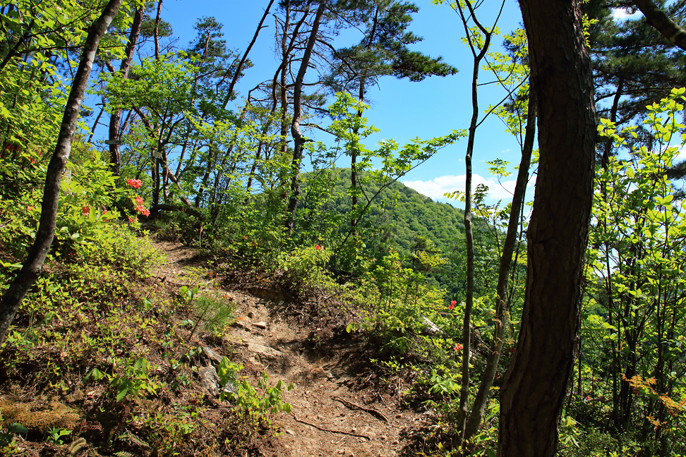 楯山連峰