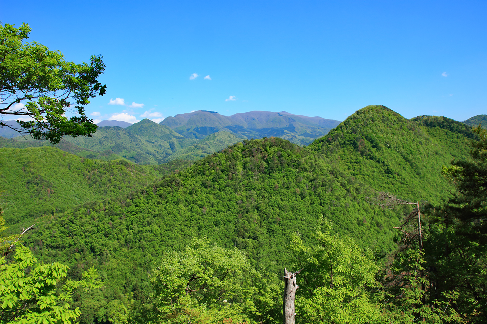 楯山連峰