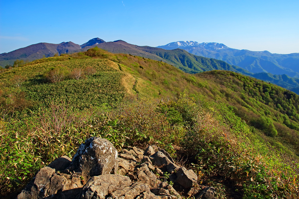 ハマグリ山